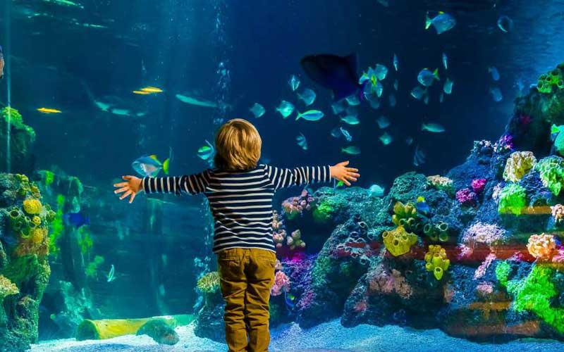 Familienausflug ins SEA LIFE Berlin SEA LIFE Berlin